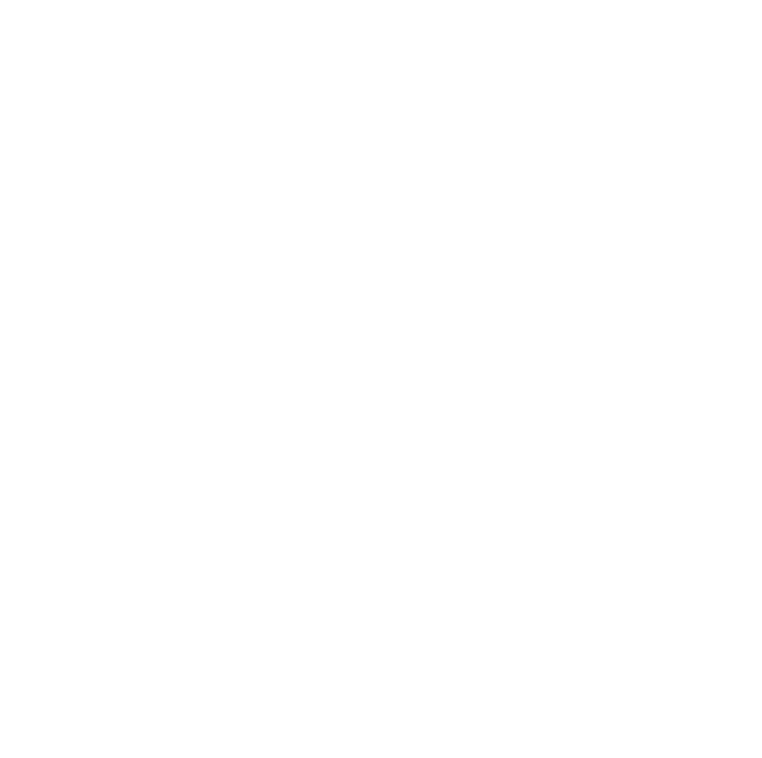 Zora Digital Logo